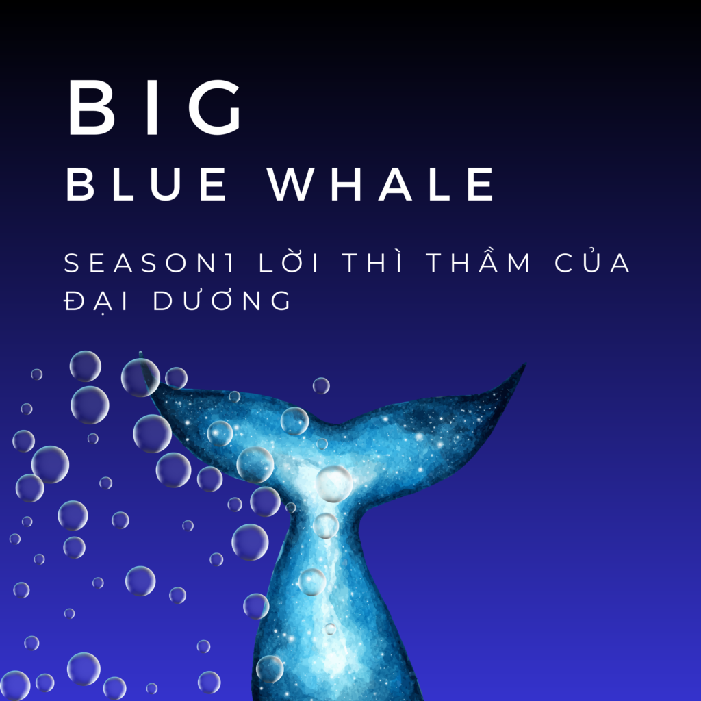 Big Blue Whale Podcast - SS1 Lời thì thầm của đại dương