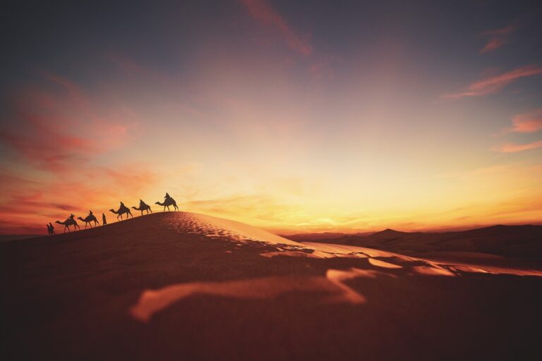 Kiến thức đầu tư tích sản 2 Thiên kiến lạc quan